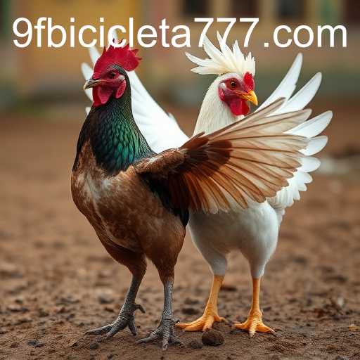 Rinha de Galos: Tradição e Controvérsia